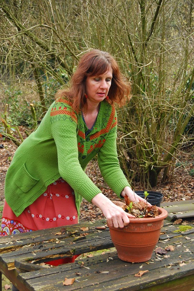 Siilke bei der Arbeit